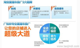 天貓店鋪推廣與運(yùn)營全攻略 裝修、拍照、產(chǎn)品描述與軟件開發(fā)價格解析